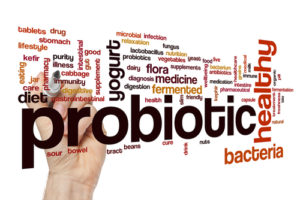 probiotische Nahrungsergänzung